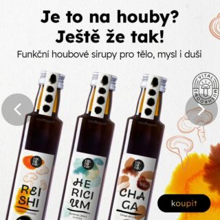Funkční houbové sirupy 🍂🌿 Medicinální houby – už jste o nich slyšeli? 🤔 Tradiční východní medicína je miluje pro jejich...